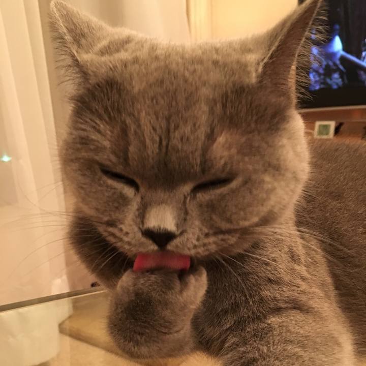 4ac2fadb f6da 4f65 9837 cf5523b12a0e