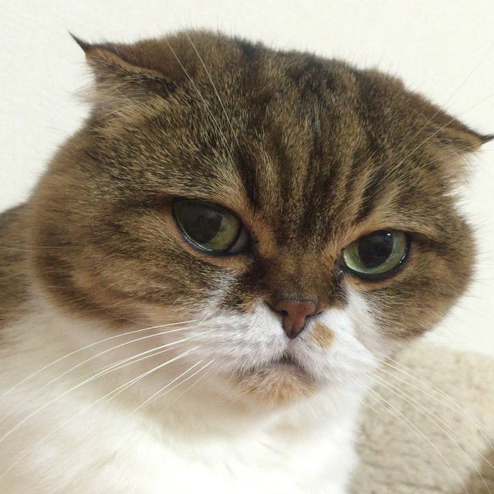 4ac3d032 d68e 4cd4 a365 a09a242f49fc