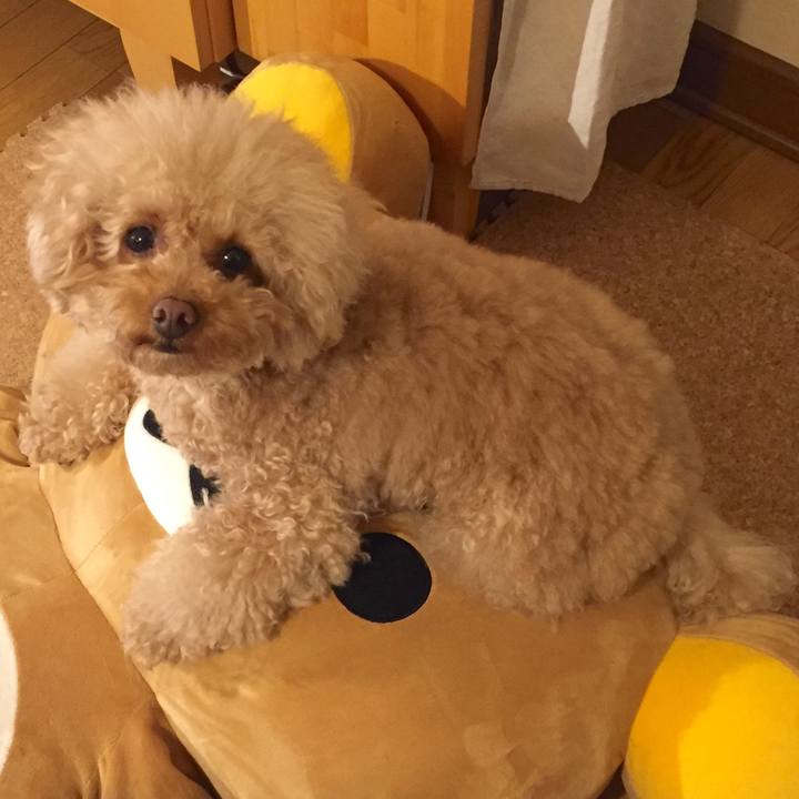 4ac485a4 a3e4 48f5 9ab8 2fc47a3df204