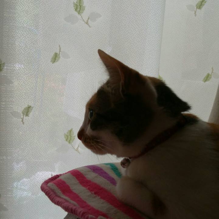 4ac4b4ec 43ca 4ee9 919a f16205710da4