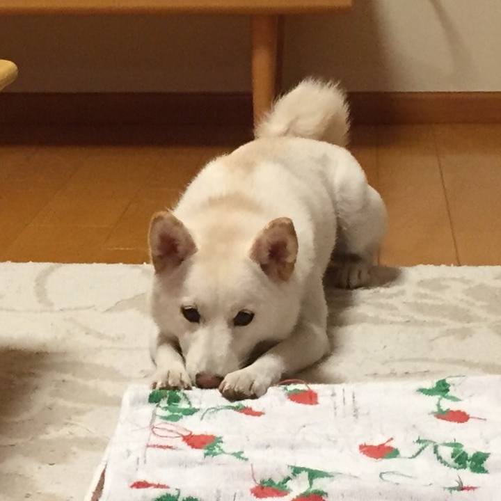 4ac52c43 3f48 43a6 a5c4 2688e7b1d7c7