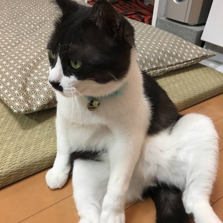 4ac5bc3d 0640 4202 940a a71c1940175d