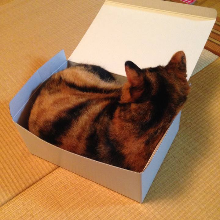 4ac691cf ba64 4beb 82cc 3c9eb71d548a