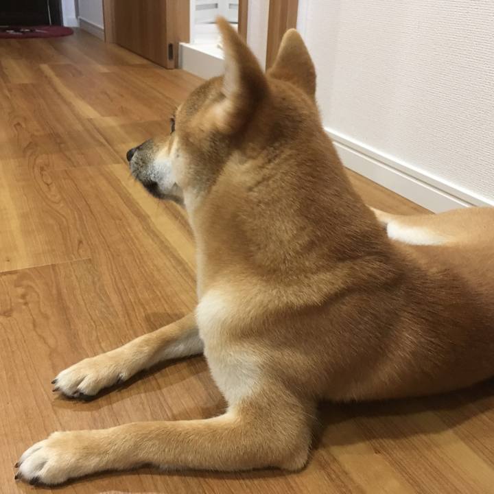 4ac6f8a9 27ab 4946 9d34 70618571b724