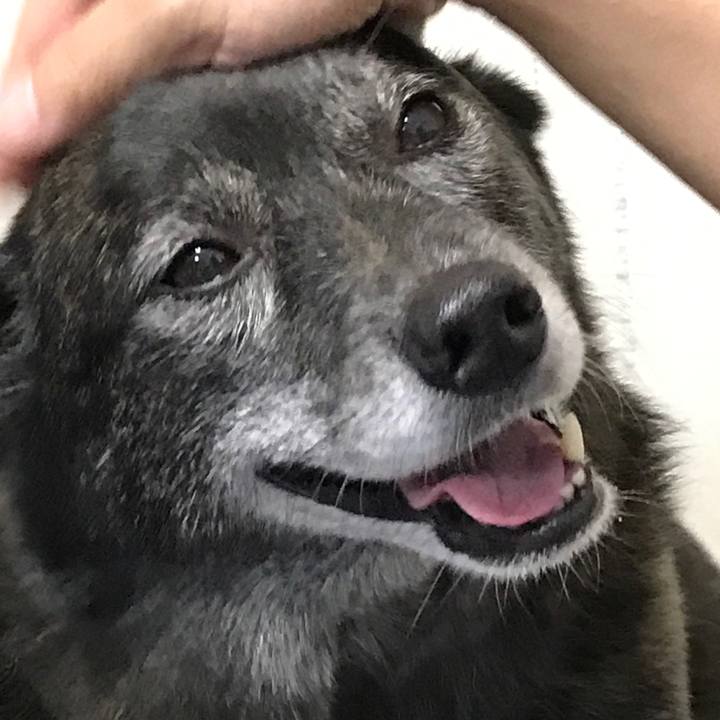 4ac74599 aefd 4707 af75 008bbea47f6d