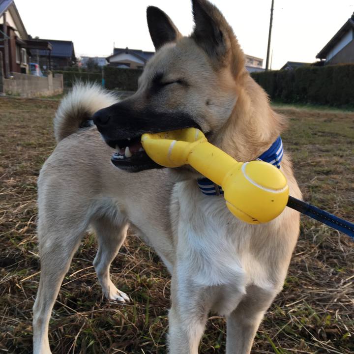 4ac78481 3f4f 4ecc b445 91957745c0ef