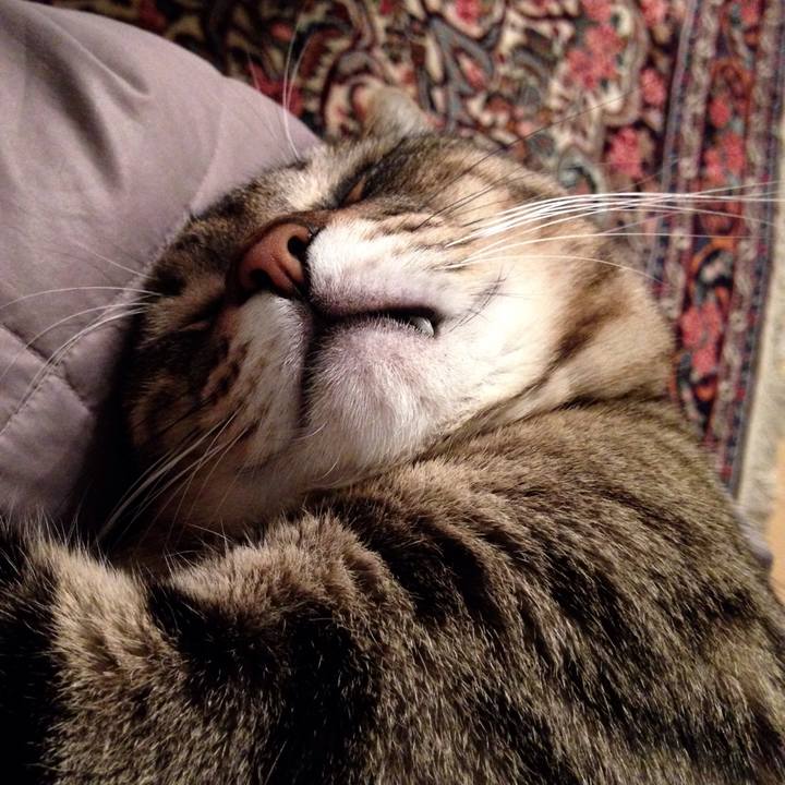 4ac80383 d3d2 4ec0 801c c4b7939b24e7