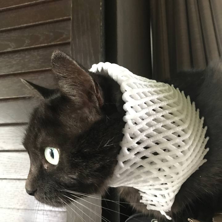 4ac859a2 4a95 479b 9502 dccd9f075d71