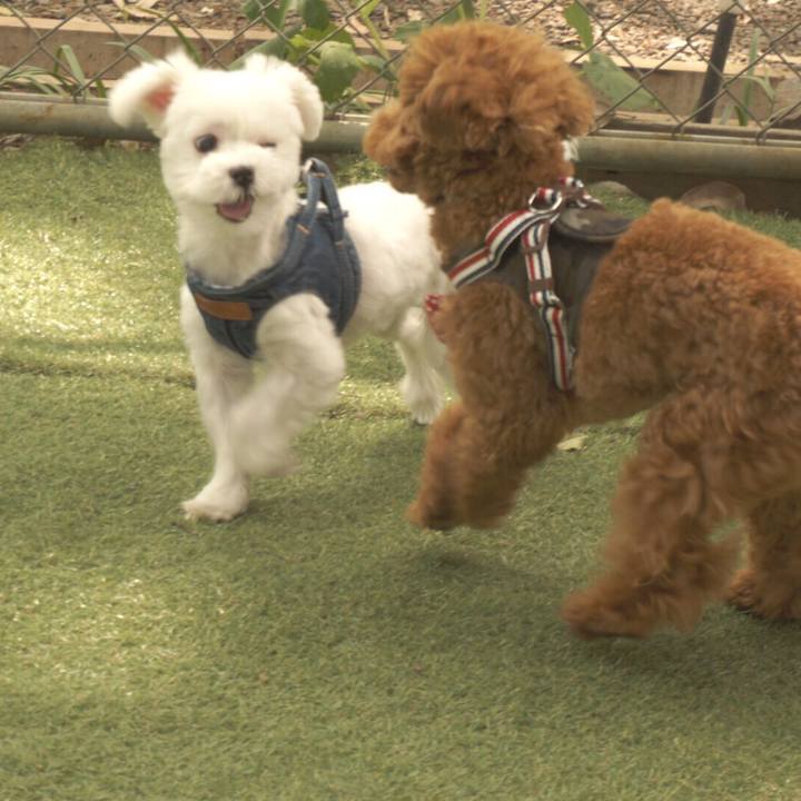 4ac954d3 37f2 4636 8e7b 2690bb68a042