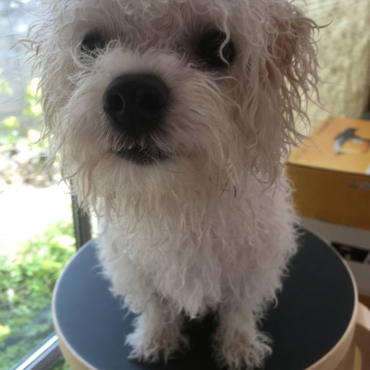 4ac9cb5f 35c7 4989 818a 33bb727d7ba8