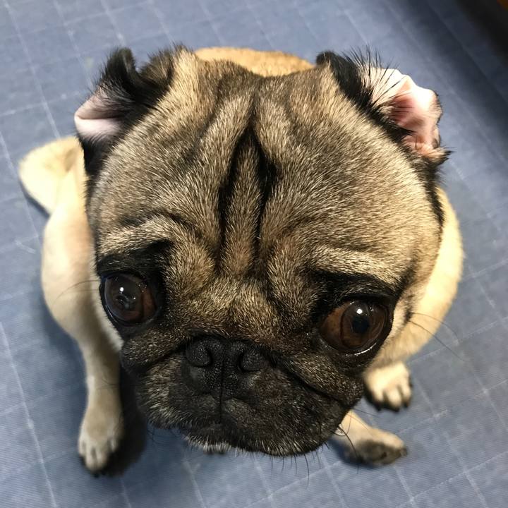 4aca4ee7 f74a 4cb3 ae1f 3a8c7ed1a8be