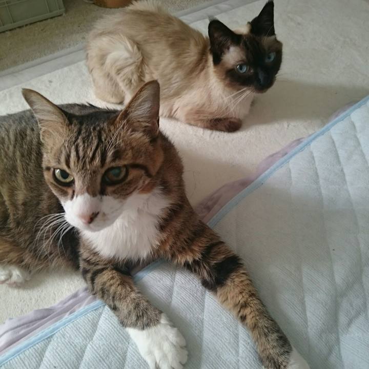 4aca7418 5b7d 4b11 bc0c dcccfd077611