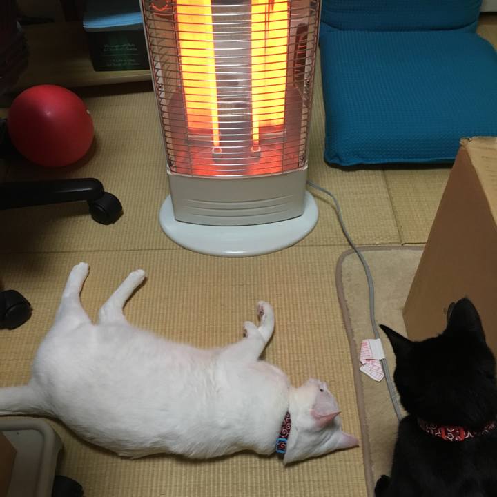 4acabc70 edf1 43ef 9b10 7ed9cd32bdb8