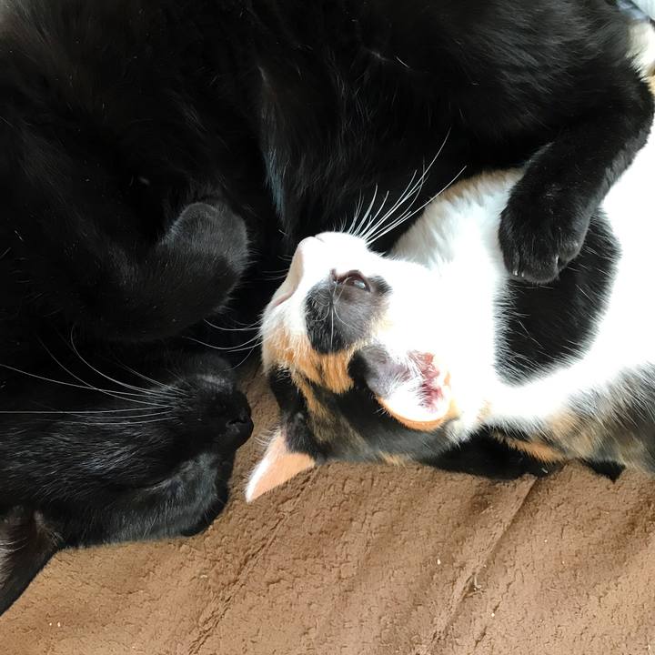 4acb3807 759a 42c0 9872 61528d7fc51d