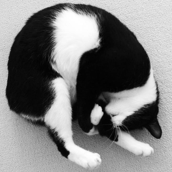 4acc5257 c097 478b b9db 78fbd478b99f