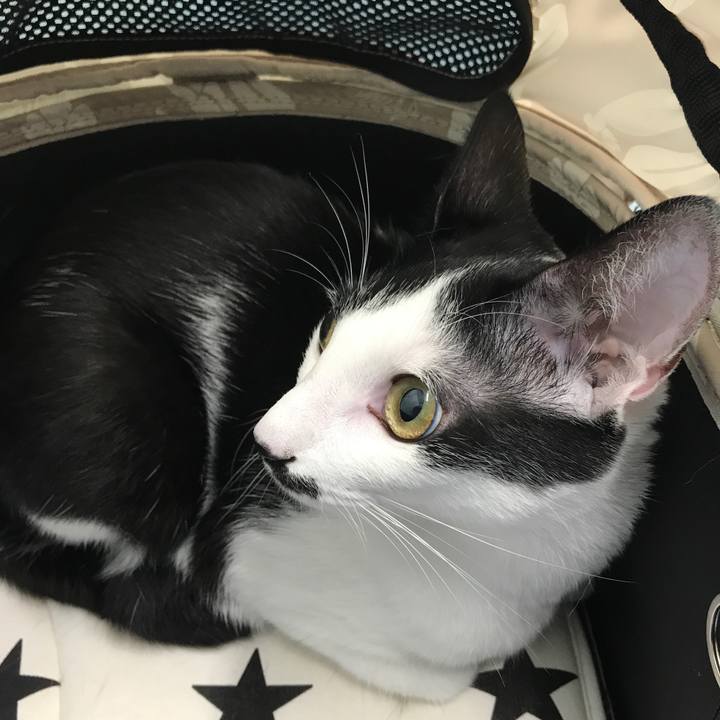 4acc7307 a64c 4a55 ae85 d1b3c36b7de3