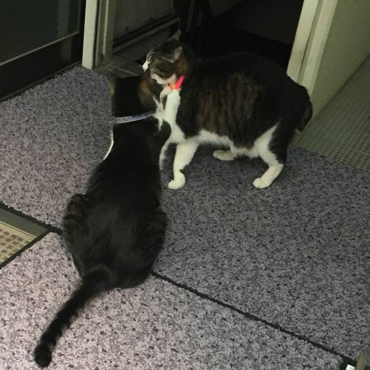 4accbf94 f603 4511 87a9 a874d8823468