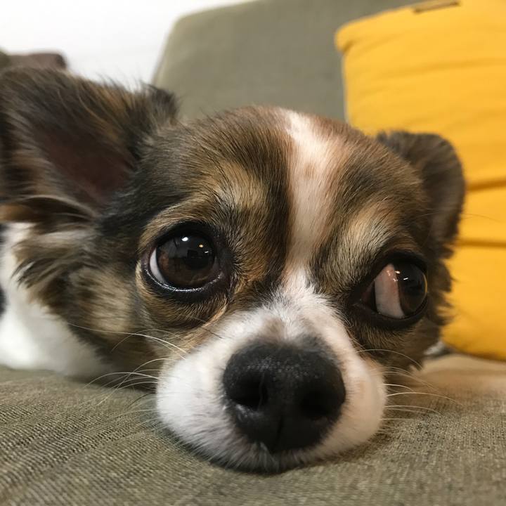 4acd2727 ae77 4ffc 9383 d9ab80103b68