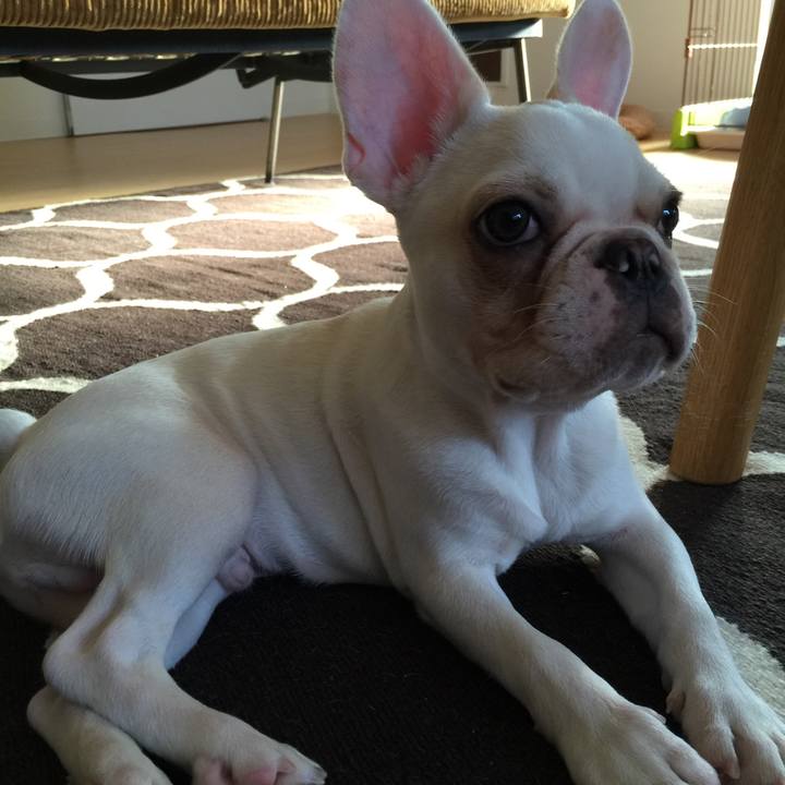 4ace38f1 24ee 4176 89f5 6b6d18cd4fb9