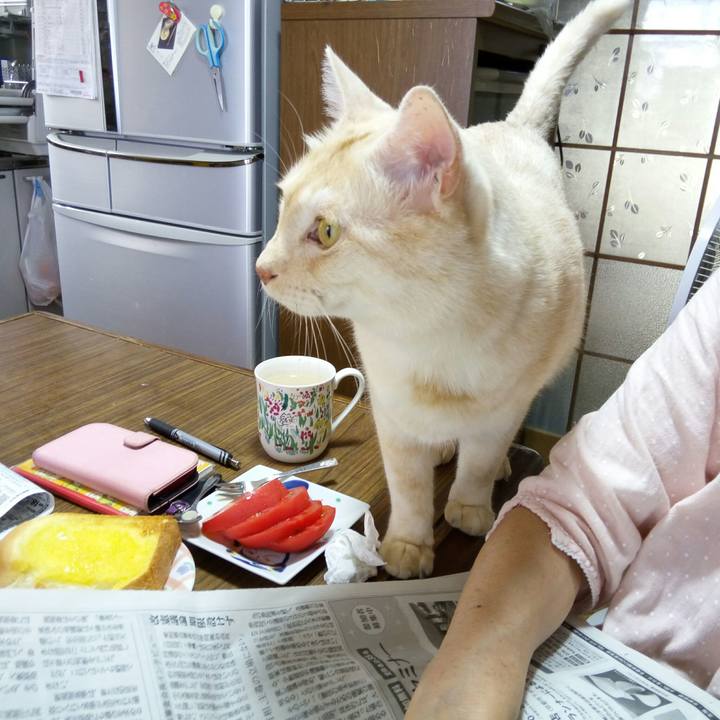 4ace5bf3 5db9 4ef6 a921 305e7f03aba7