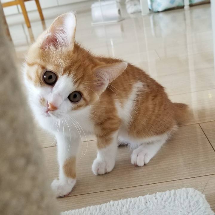 4acecf0f b963 4ef0 b211 0156d7989878