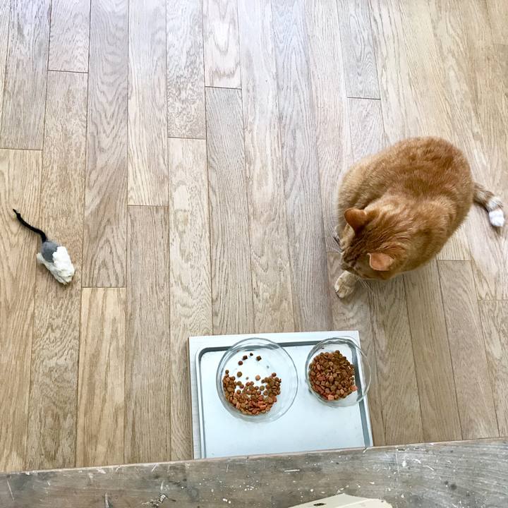 4acedb63 4329 4cea bd88 a5f59fd72d09