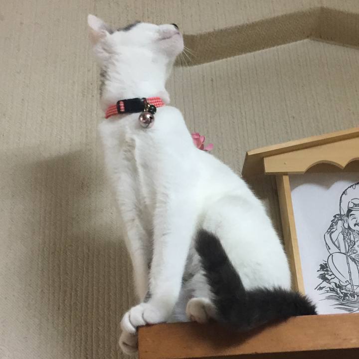 4acf038e b69d 4ce5 9d96 fc5dd90c49bb