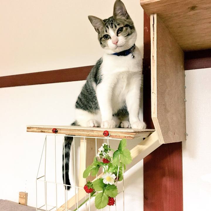 4acf685c 4cd8 4fca b29d be6bb4282230