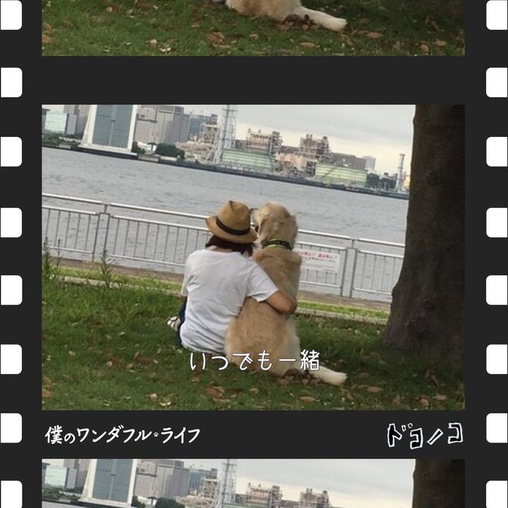 4acf9201 a8c6 4016 8eb5 b7c029ff2d1b