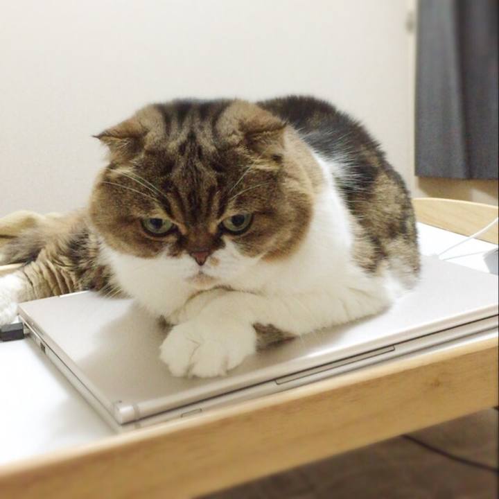 4ad04505 fb57 4c05 ad19 e75cd6793134