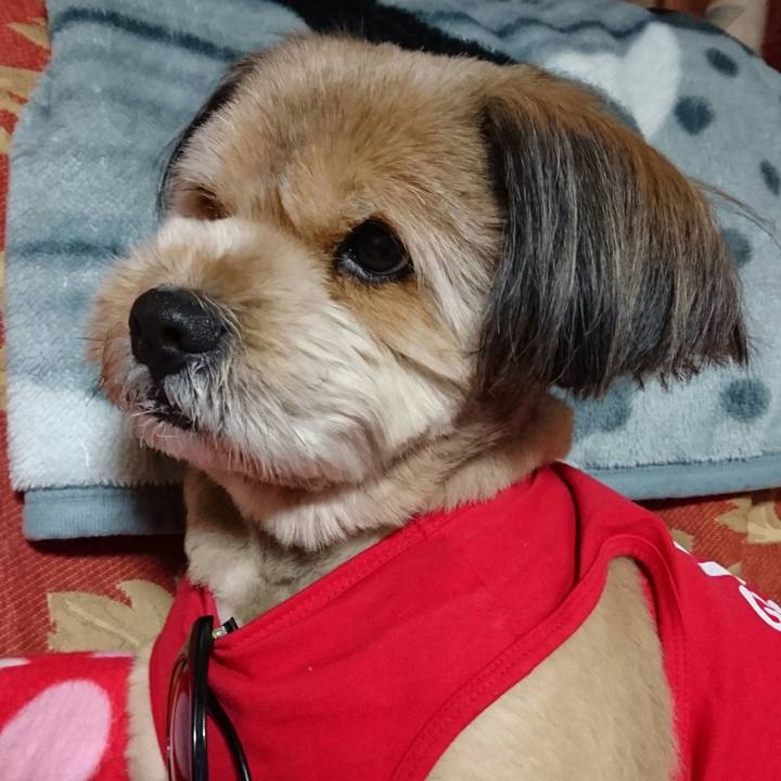 4ad15821 c43d 40c5 9f0f 53bcca079cdd