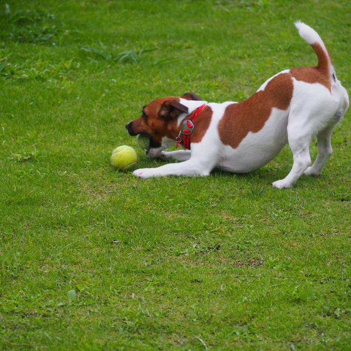 4ad1d321 1e8d 490e 8f37 5b6e5384a0e3