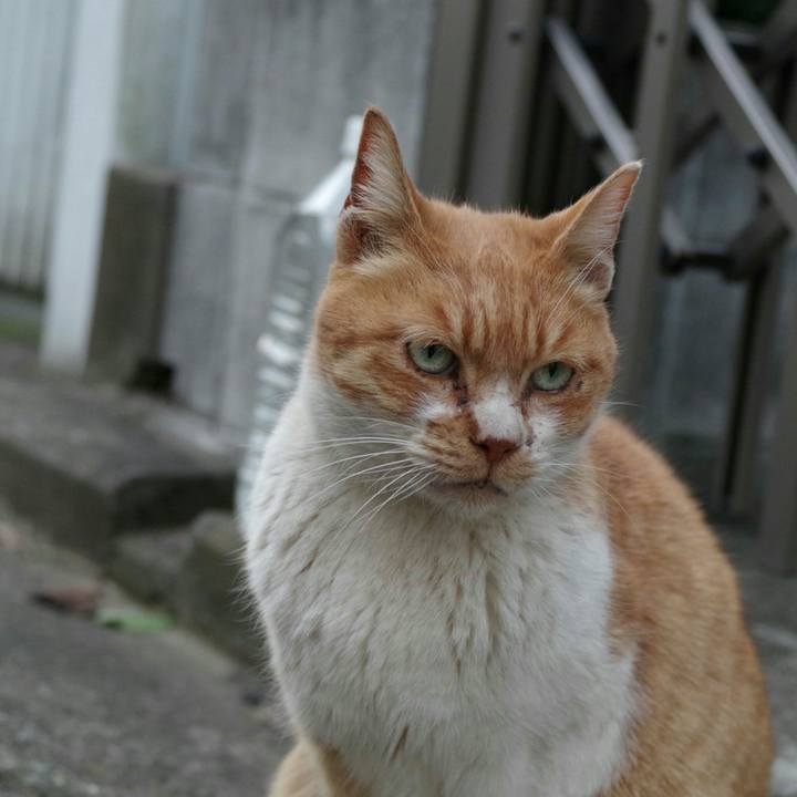 4ad1f0e0 1a38 4148 8eab 9b7cc6273df7