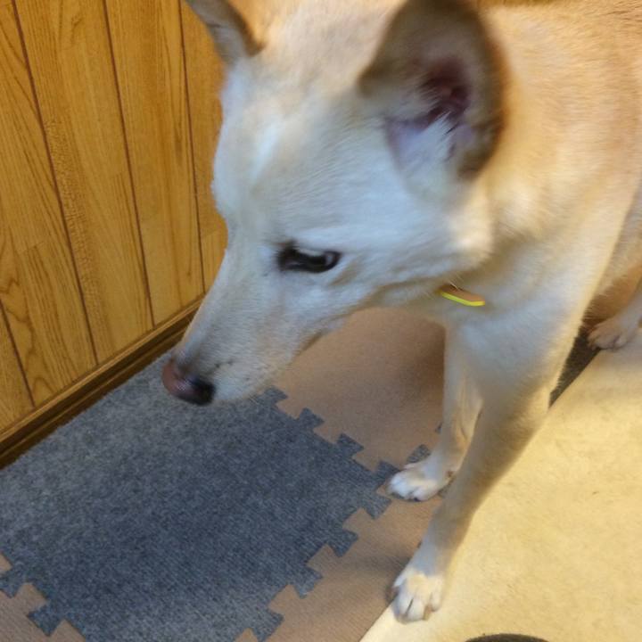 4ad2b4c1 1843 4583 8dc6 dcd168d60ce2