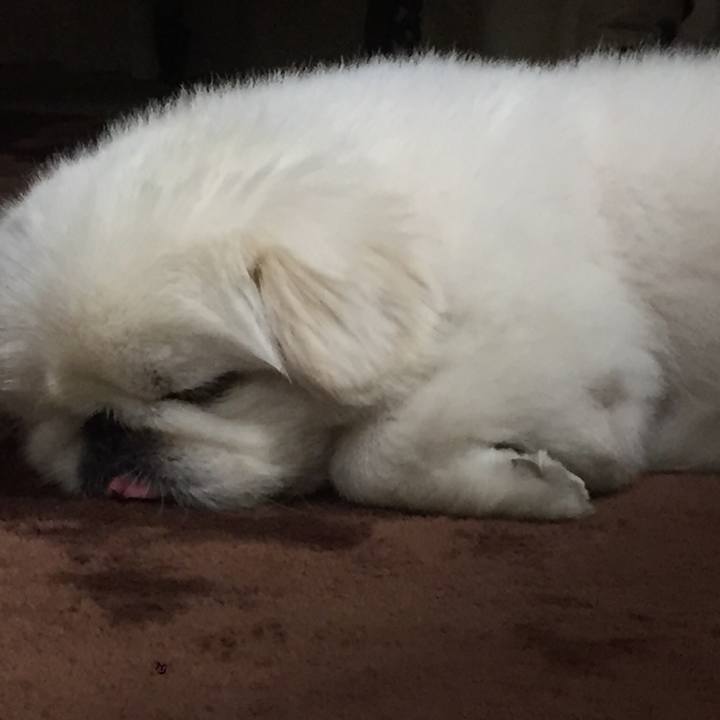 4ad2e075 fe58 4ec5 b8f9 5a71882d0a0d