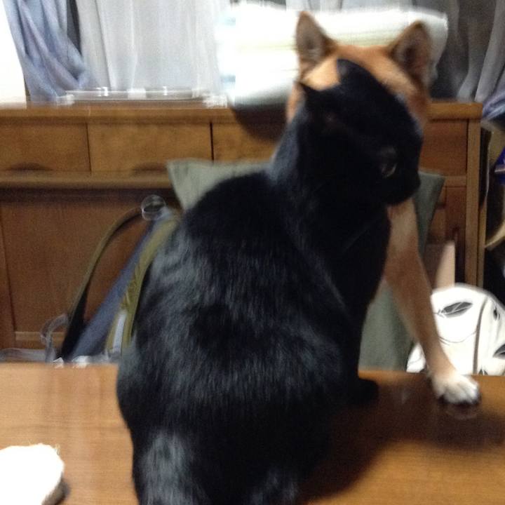 4ad3e395 cf1e 40fa bb0e 89a9c88340ef