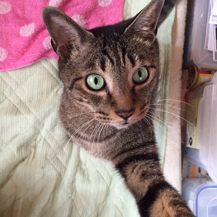 4ad44d24 bfbc 4e26 9e65 dccec4938a56