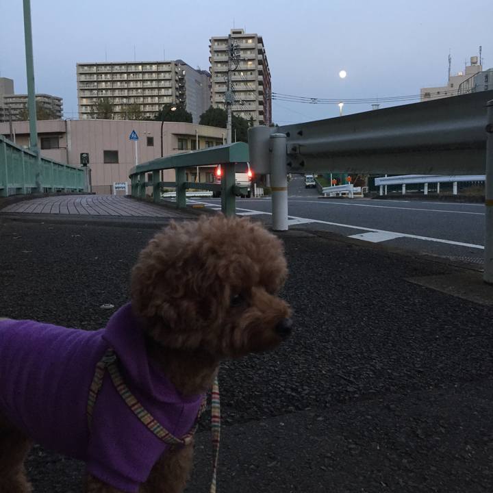 4ad4c997 84b0 4e18 b228 1daf47842e78