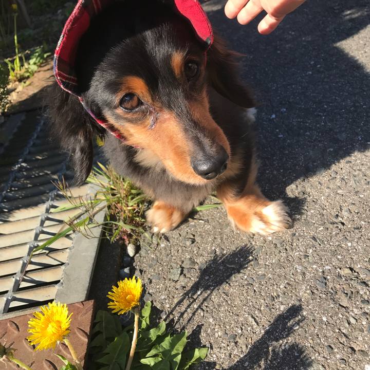 4ad4f8ae bde4 467e 8a27 9653a5494e2f