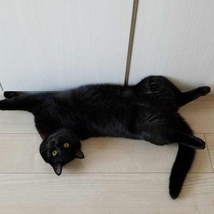 4ad52043 e356 4a1e 9142 9b27f5da2178