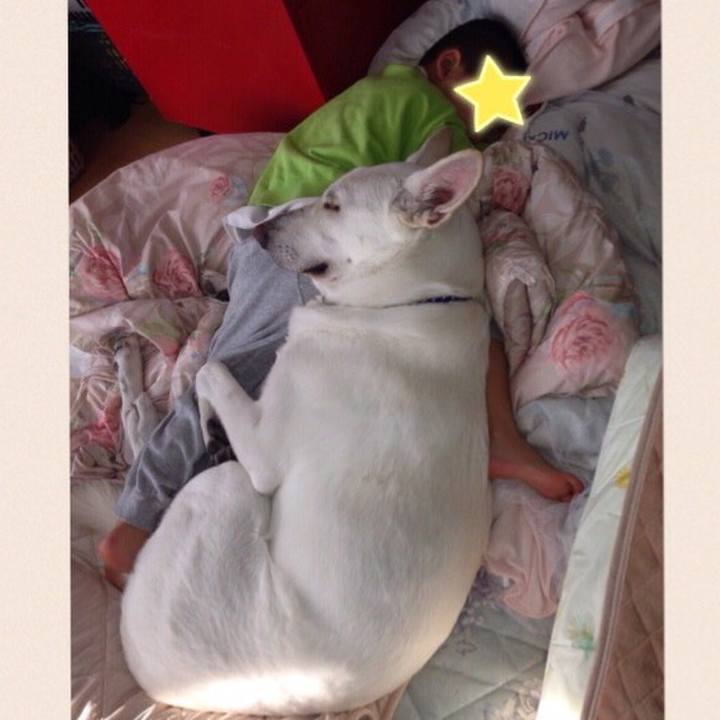 4ad53ce3 ab83 4ee4 8e4d 3a53ab157ef9