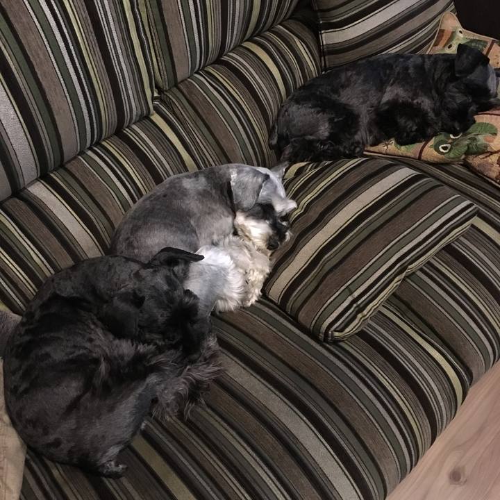 4ad54af7 b2da 4276 9190 4666082ca976