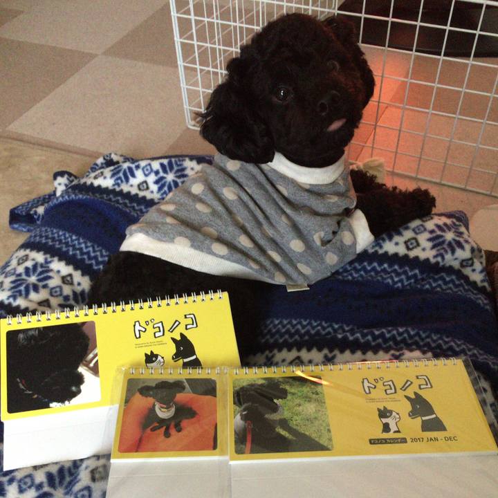 4ad5bd11 ea1b 4128 b767 6a2d92caa778