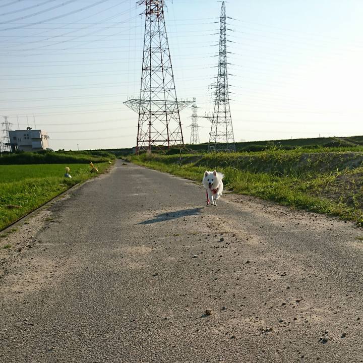 4ad6075f 4316 49f9 9198 517b59578f0f