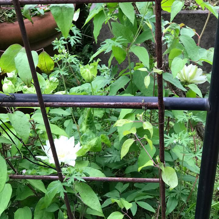 4ad61ee2 fbb2 48c6 a491 8333657d8fe7