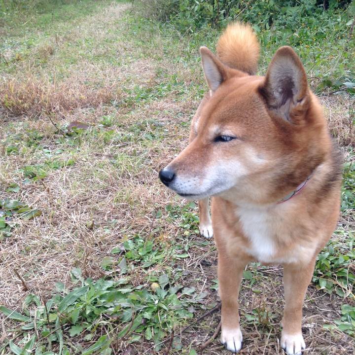 4ad64d3d 2e4d 4cb9 969c 88180d50cca5