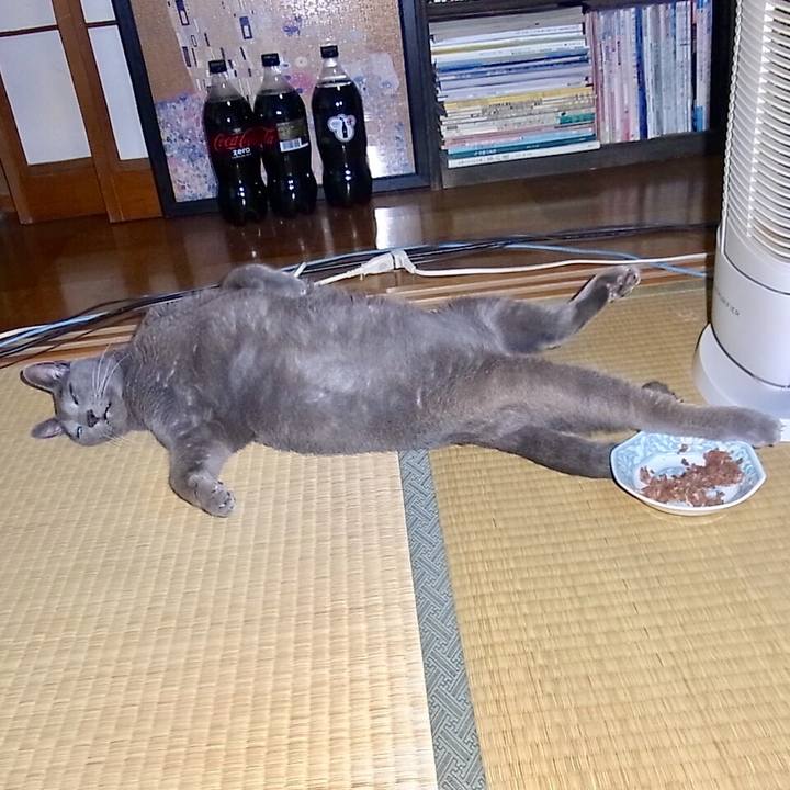 4ad65b14 33d0 4f35 a74e 5d9f26b63962