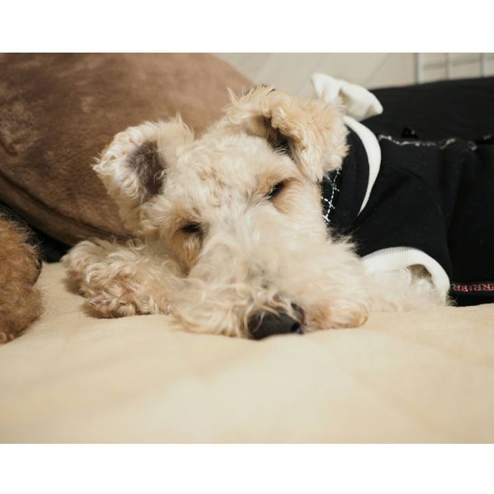 4ad67ff6 09b8 46c4 93b0 a9fee7055418