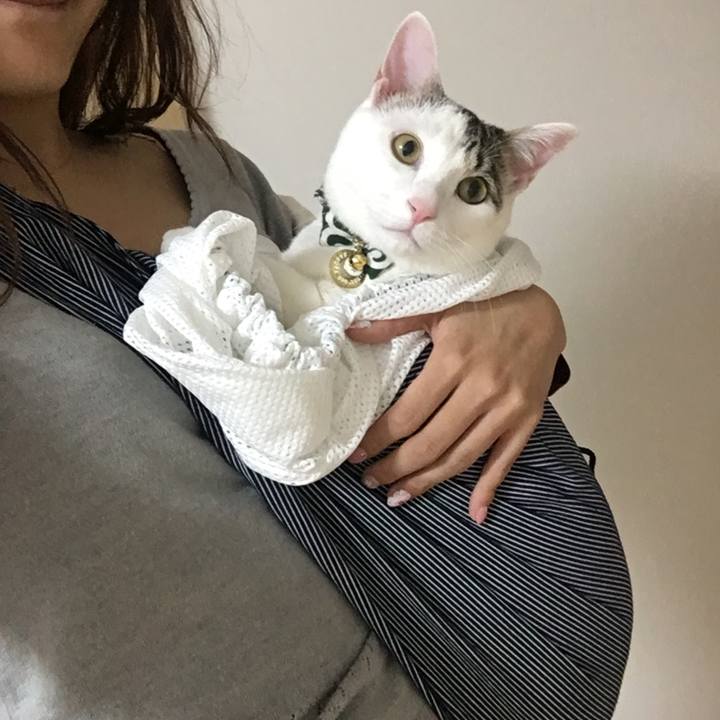 4ad6dcf1 d9d5 4ca0 a1a5 36b724185435