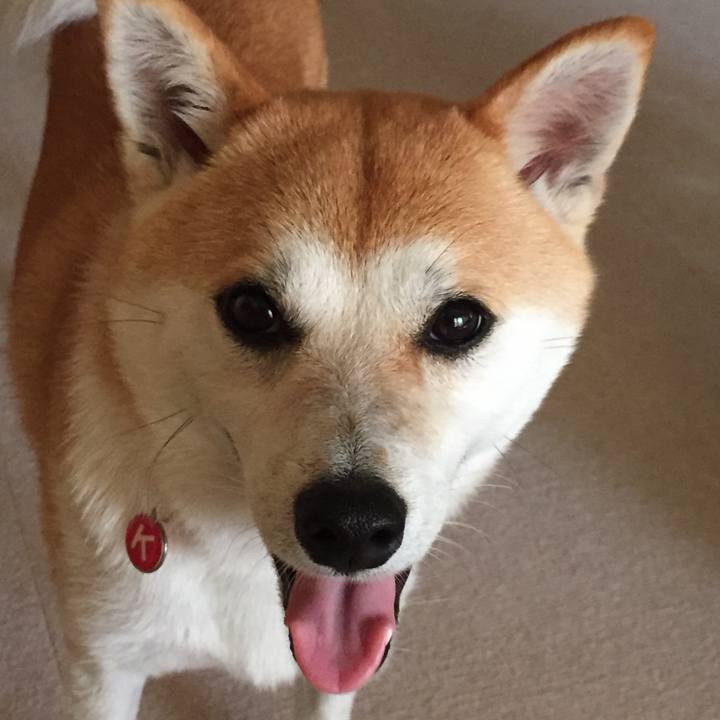 4ad6eb03 0a17 4cef 8216 9043c322a33f